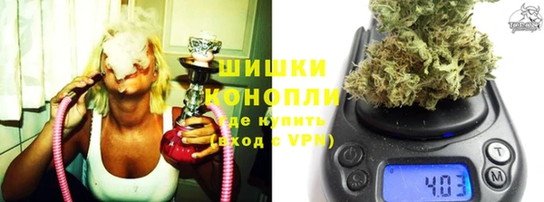 индика Мегион
