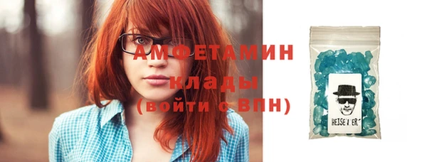 индика Мегион