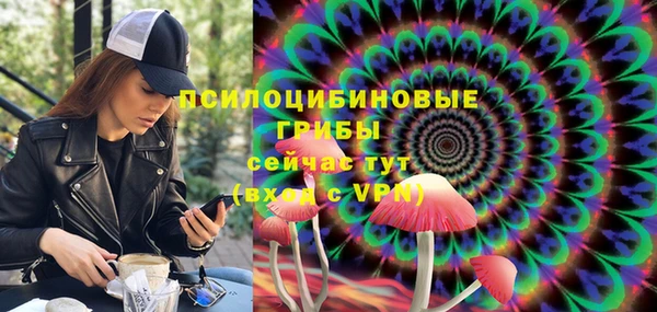 твердый Михайловка