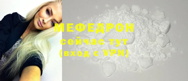 индика Мегион