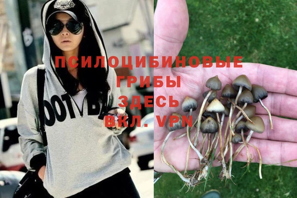 бутират Михайлов