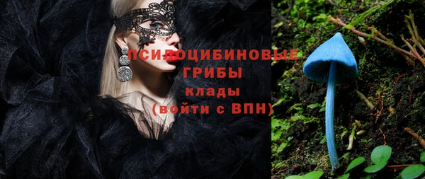 молекула духа Чекалин