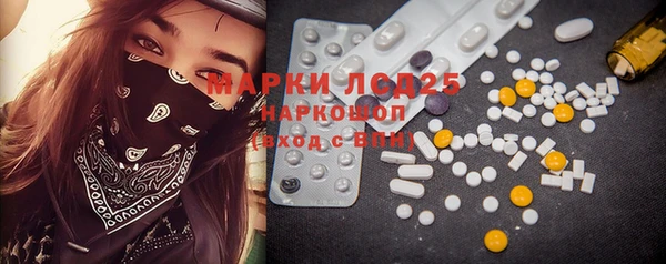 индика Мегион