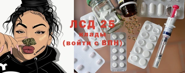 индика Мегион