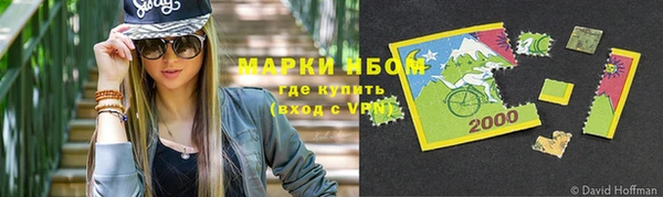 индика Мегион