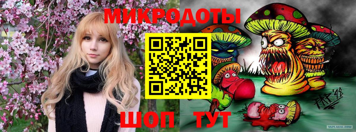 Псилоцибиновые грибы Psilocybine cubensis Донецк