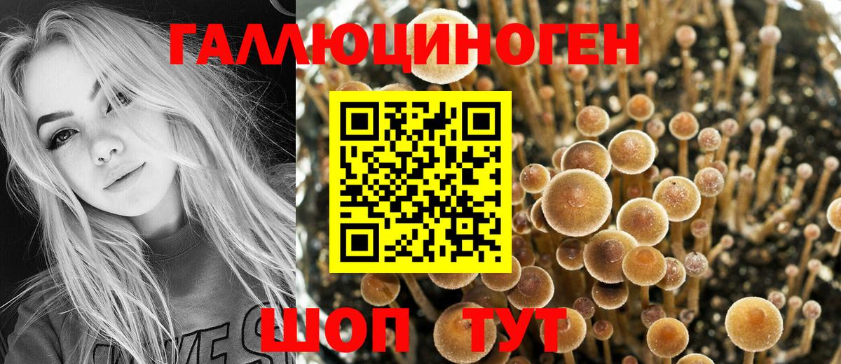 Псилоцибиновые грибы мухоморы  Донецк  Галлюциногенные грибы Magic Shrooms 