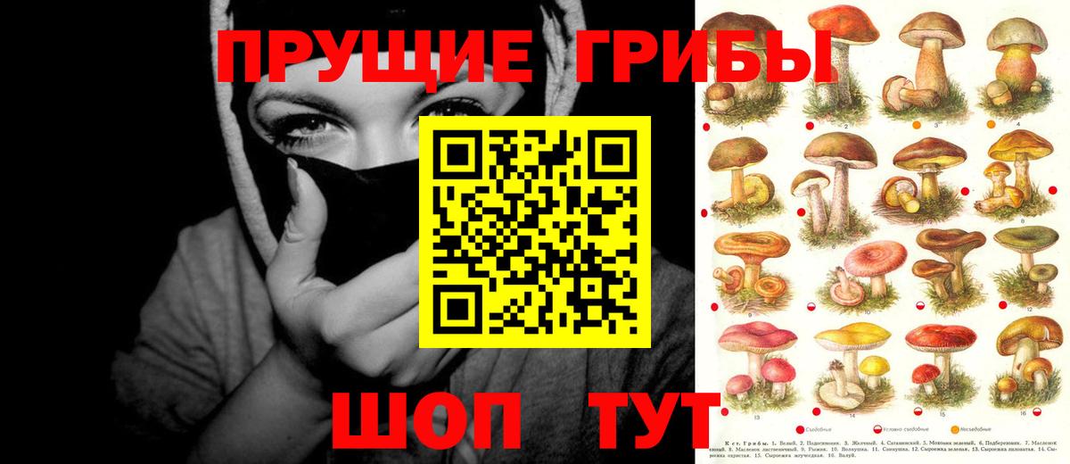 Псилоцибиновые грибы прущие грибы  Вход с VPN  Донецк 